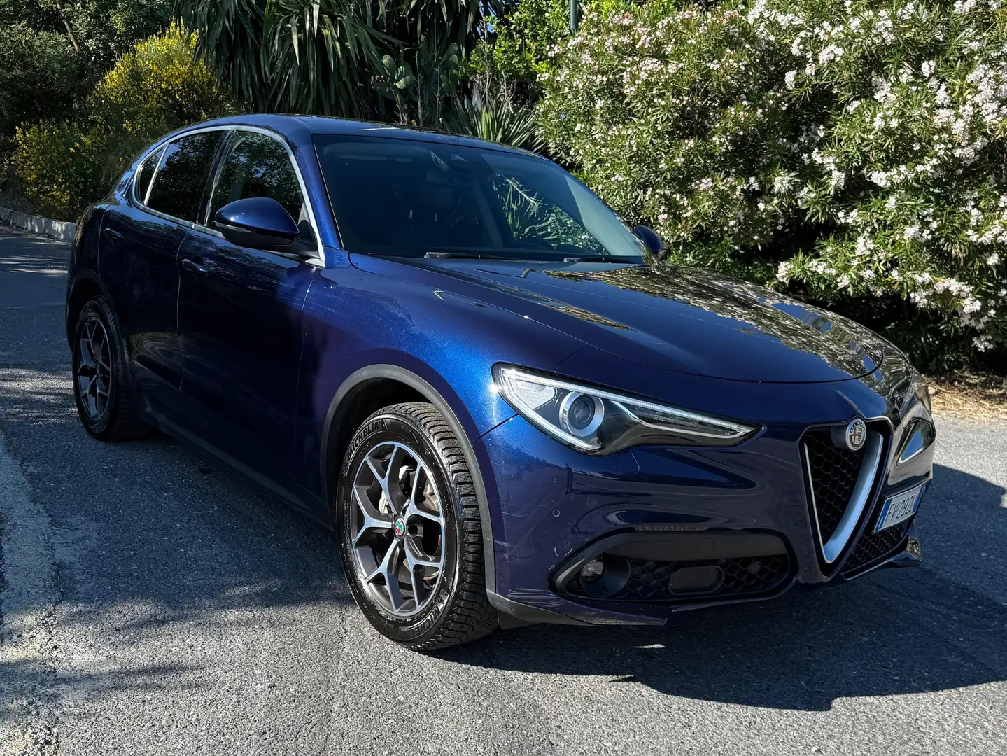 Alfa Romeo Stelvio Stelvio 2.2 t Super Q4 190cv auto my19 Blu/Azzurro - 1