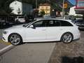 Audi A6 A6  Avant 3.0 tdi Business Plus quattro 218cv s-tr Blanc - thumbnail 30