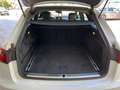 Audi A6 A6  Avant 3.0 tdi Business Plus quattro 218cv s-tr Blanc - thumbnail 24