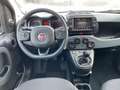 Fiat Panda 1.0 FireFly Hybrid Cross #5Posti #CarPlay #Sensori Grigio - thumbnail 8