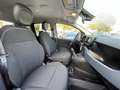 Fiat Panda 1.0 FireFly Hybrid Cross #5Posti #CarPlay #Sensori Grigio - thumbnail 13