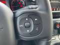 Fiat Panda 1.0 FireFly Hybrid Cross #5Posti #CarPlay #Sensori Grigio - thumbnail 10