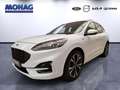 Ford Kuga 1.5l ST-Line X *Anhängerk-Keyless-Temp* Blanc - thumbnail 1