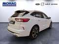Ford Kuga 1.5l ST-Line X *Anhängerk-Keyless-Temp* Blanc - thumbnail 3