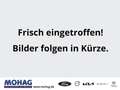 Ford Kuga 1.5l ST-Line X *Anhängerk-Keyless-Temp* Weiß - thumbnail 2