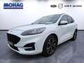 Ford Kuga 1.5l ST-Line X *Anhängerk-Keyless-Temp* Weiß - thumbnail 1
