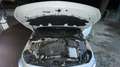 Mercedes-Benz B 200 B 200d amg Bianco - thumbnail 5