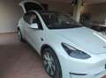 Tesla Model Y Long Range Dual Motor awd - thumbnail 5