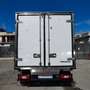 Ford Transit 350 L3 2.0TDCI ISOTERMICO CON GRUPPO FRIGO RG-2020 Wit - thumbnail 4