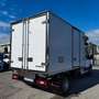 Ford Transit 350 L3 2.0TDCI ISOTERMICO CON GRUPPO FRIGO RG-2020 Wit - thumbnail 3