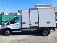 Ford Transit 350 L3 2.0TDCI ISOTERMICO CON GRUPPO FRIGO RG-2020 Wit - thumbnail 6