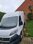 Fiat Ducato L2H4 Blanc - thumbnail 3