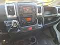 Fiat Ducato L2H4 Blanc - thumbnail 6