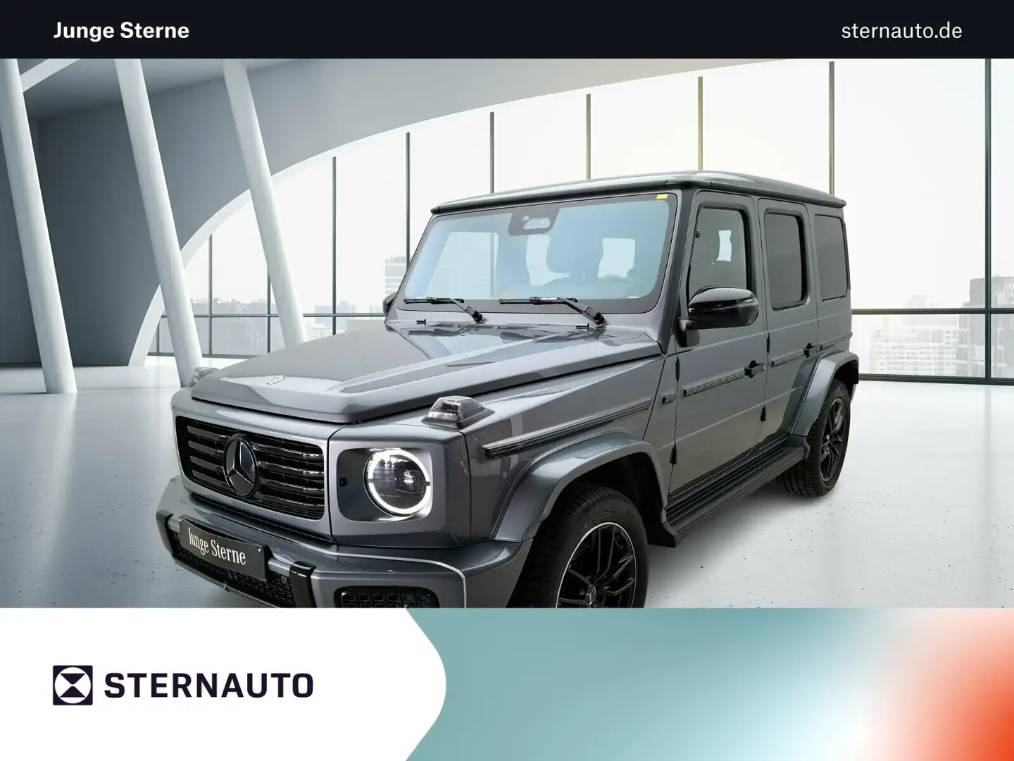 Mercedes-Benz G 450 G 450d AMG Night AHK Burmester Standhzg KeyGo Navi Grau - 1