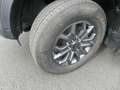 Ford Ranger 2.0l AUTOM. Wildtrak e-4WD Doppelkabine/Navi,Rollo Grau - thumbnail 3