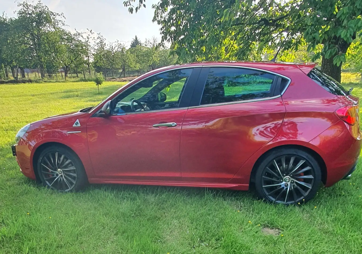 Alfa Romeo Giulietta 1.8 TBi 16V Quadrifoglio Verde Limited edition 8C - 1