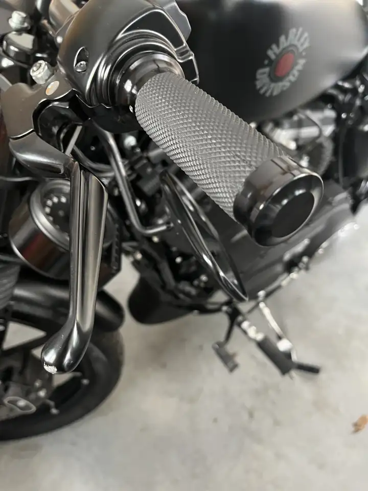 Harley-Davidson Iron 883