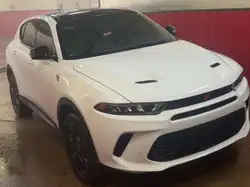 Dodge Hornet 2024