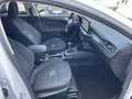 Ford Focus Turnier Active X Navi Kamera ACC LED SHZ Weiß - thumbnail 21