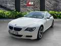 BMW M6 Weiß - thumbnail 22
