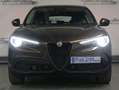 Alfa Romeo Stelvio Super*1HAND*AHK*NAVI*LEDER*KAMERA*PDC*Xenon*uvm Brun - thumbnail 2