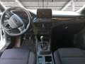 Ford Focus 1.0 ecoboost h ST-Line X s&s 155cv my20.75 Blanc - thumbnail 12