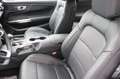 Ford Mustang Fastback Bronze Styling-Paket 4,99% FIN* Kék - thumbnail 16