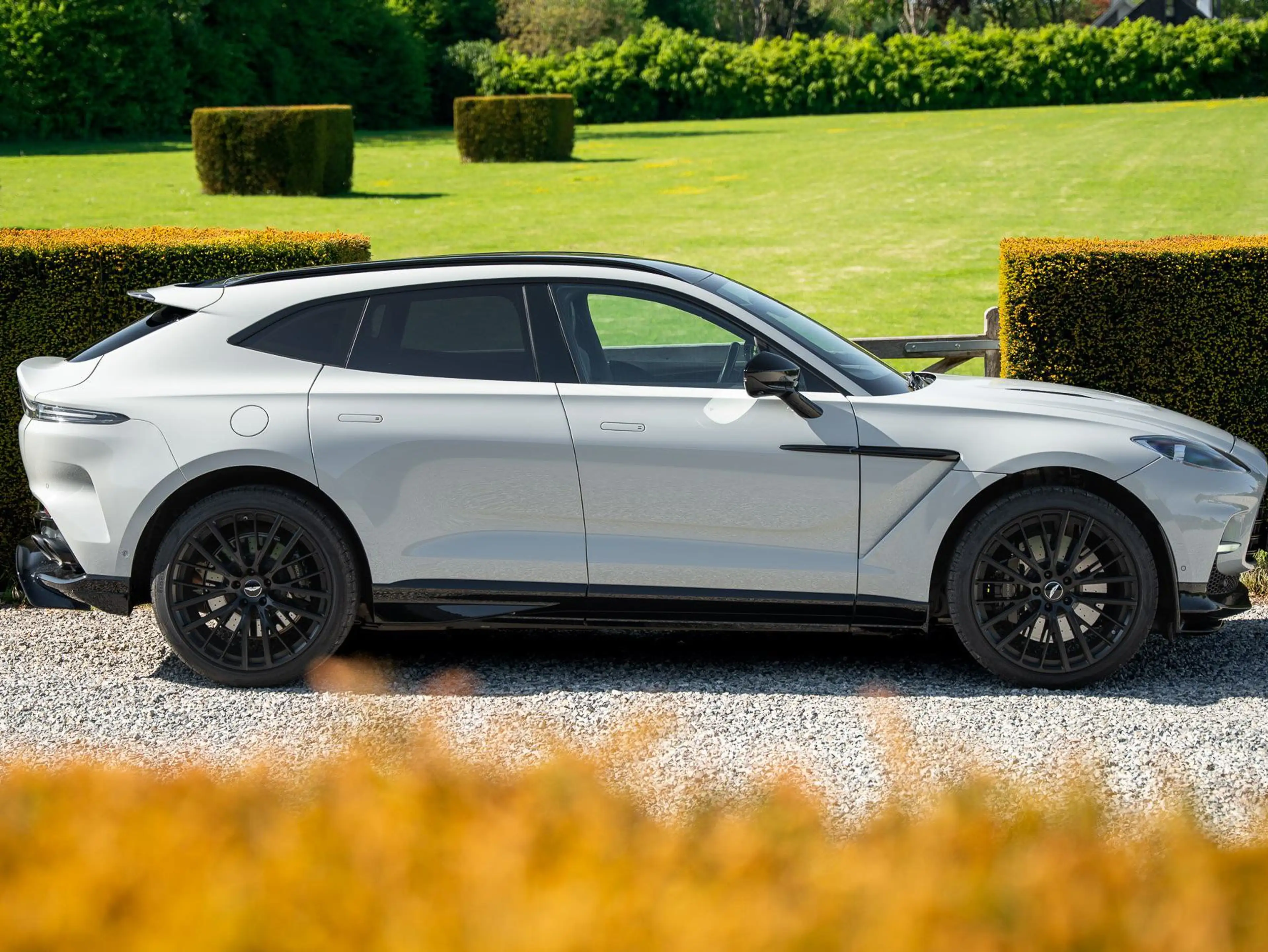 Aston Martin DBX 707 / 1 Owner — photo 5