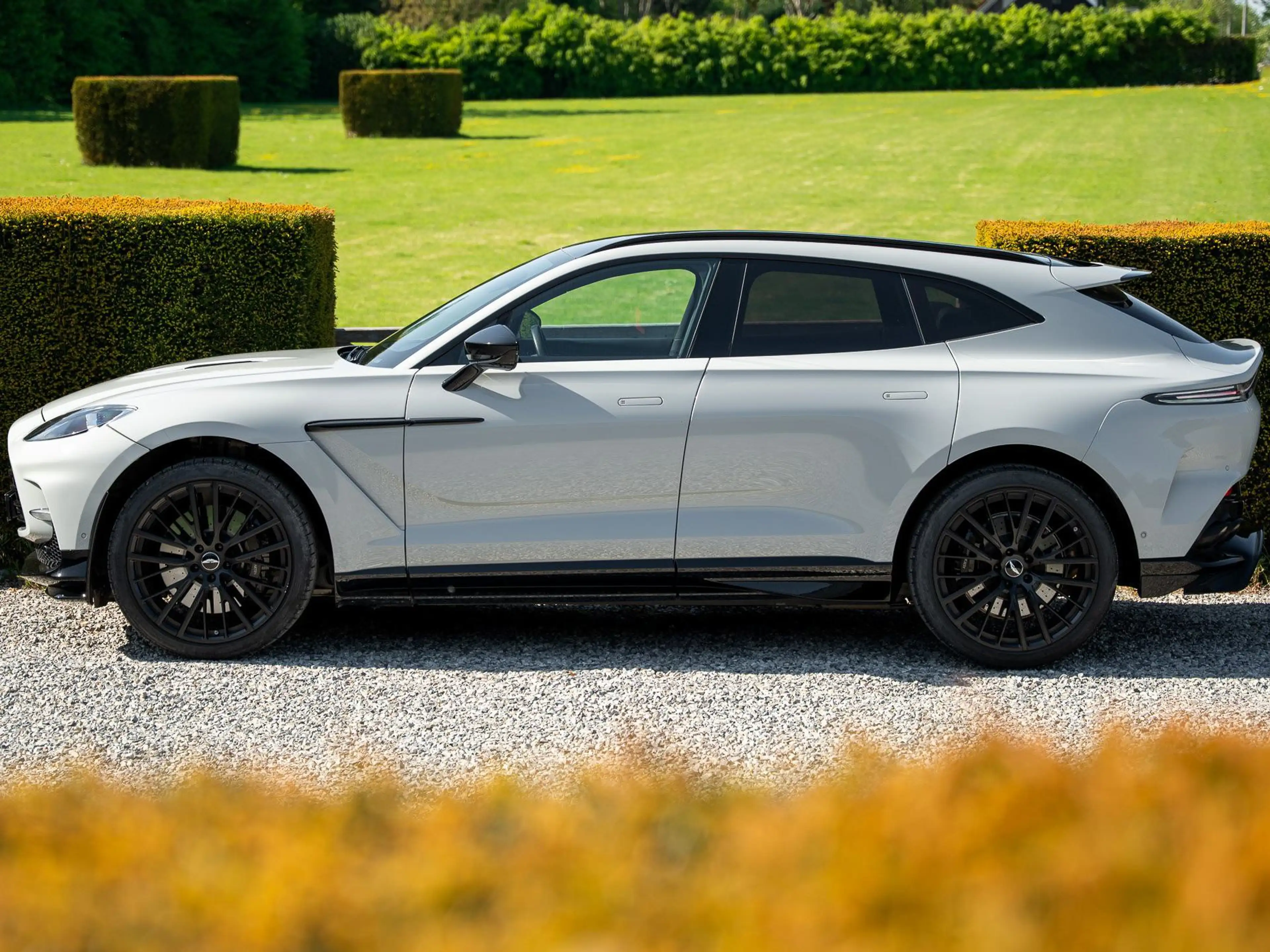 Aston Martin DBX 707 / 1 Owner — photo 6
