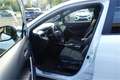 Toyota Corolla Cross 2,0 Hybrid Active Drive AWD Weiß - thumbnail 4