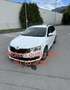 Skoda Octavia Combi 2,0 Drive TDI 4x4 DSG Weiß - thumbnail 1