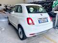 Fiat 500 500 III 1.2 Lounge 69cv Perfetta Finanziabile!!!!! Weiß - thumbnail 4