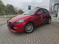 Mazda 2 EXCLUSIVE RFK LogIn Lenkradheizg Klimaaut Tempomat Rojo - thumbnail 5