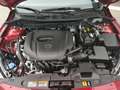 Mazda 2 EXCLUSIVE RFK LogIn Lenkradheizg Klimaaut Tempomat Rojo - thumbnail 19