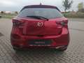 Mazda 2 EXCLUSIVE RFK LogIn Lenkradheizg Klimaaut Tempomat Rojo - thumbnail 4