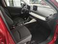 Mazda 2 EXCLUSIVE RFK LogIn Lenkradheizg Klimaaut Tempomat Rojo - thumbnail 18