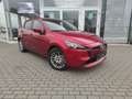 Mazda 2 EXCLUSIVE RFK LogIn Lenkradheizg Klimaaut Tempomat Rojo - thumbnail 2
