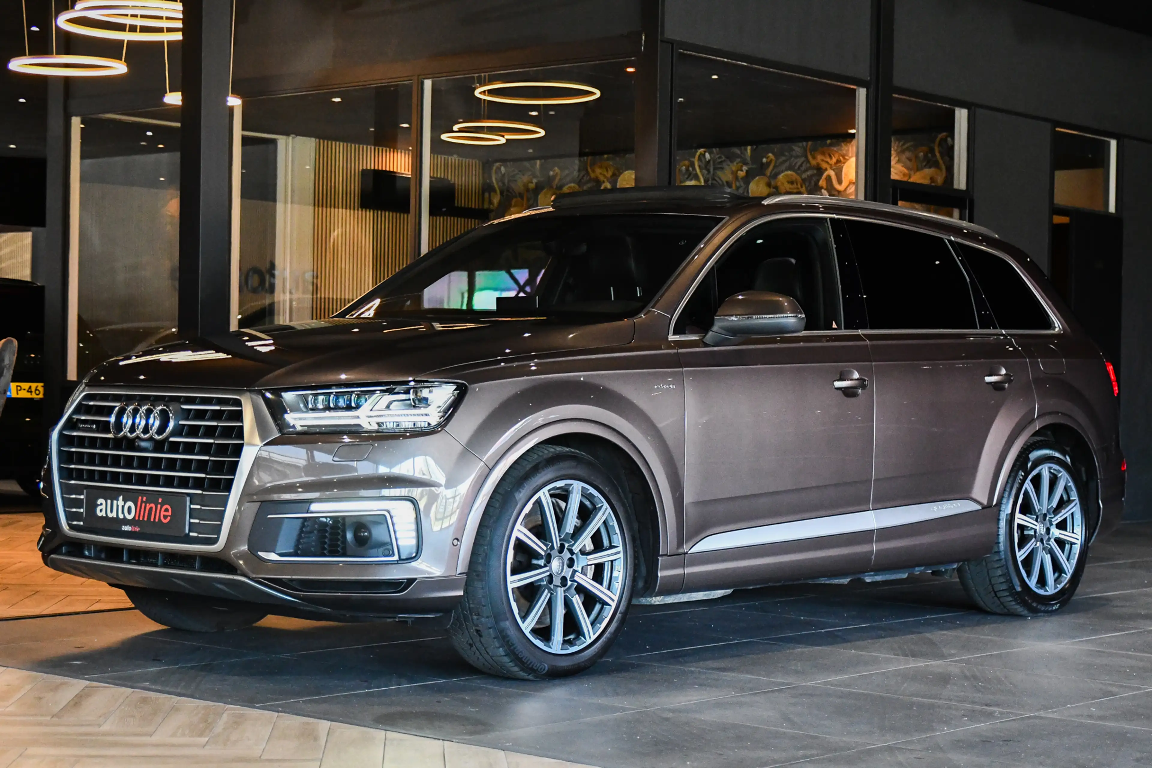 Audi Q7 e-tron 3.0 TDI quattro S-Line, Trekhaak, Luchtvering, Pan — photo 3