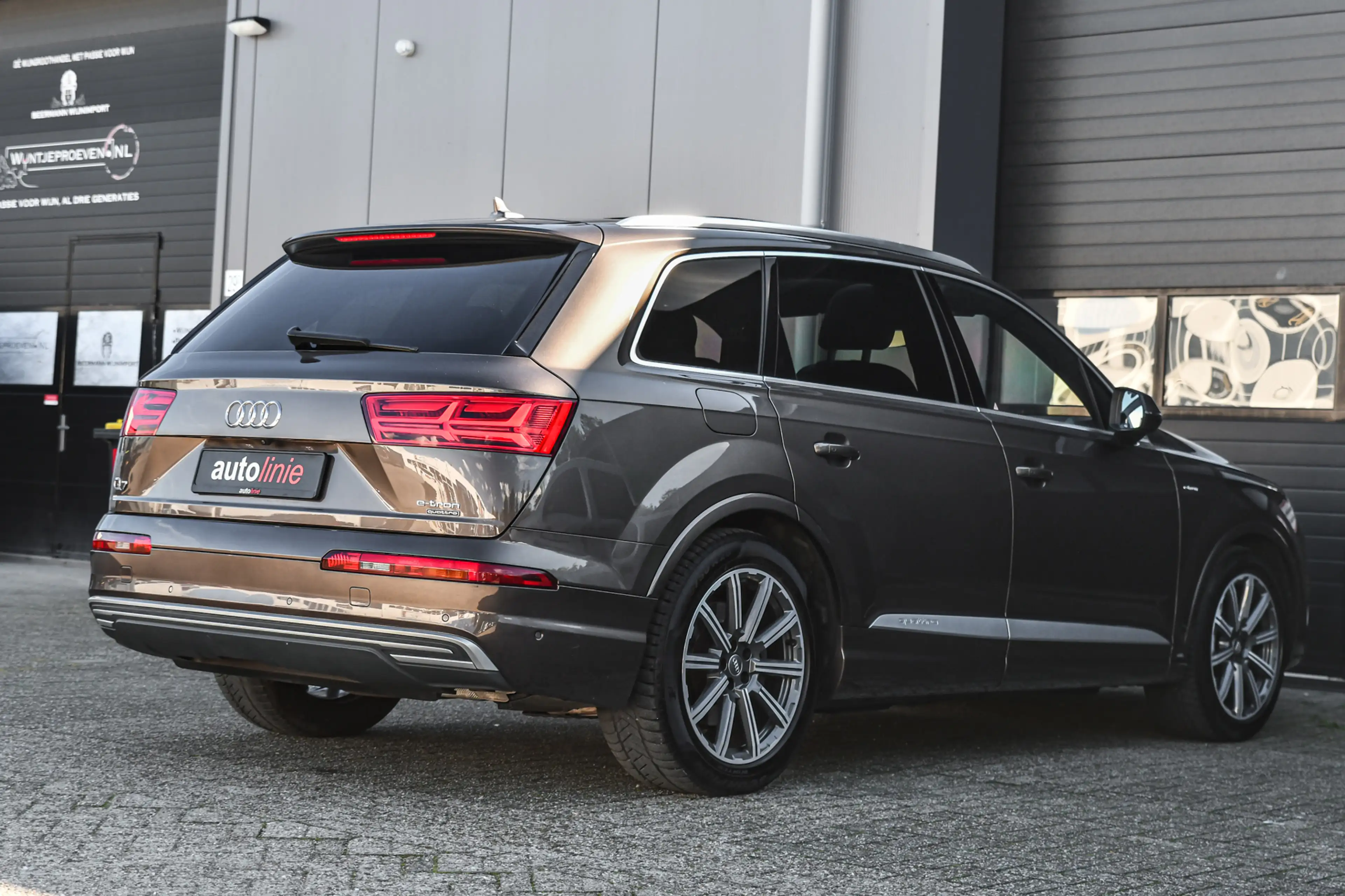 Audi Q7 e-tron 3.0 TDI quattro S-Line, Trekhaak, Luchtvering, Pan — photo 8