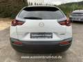 Mazda MX-30 35,5 kWh e-SKYACTIV KOMFORT+PREMIUM*3,24% Weiß - thumbnail 10