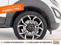 Ford EcoSport 1.0 ecoboost active s&s 125cv GPL Weiß - thumbnail 14