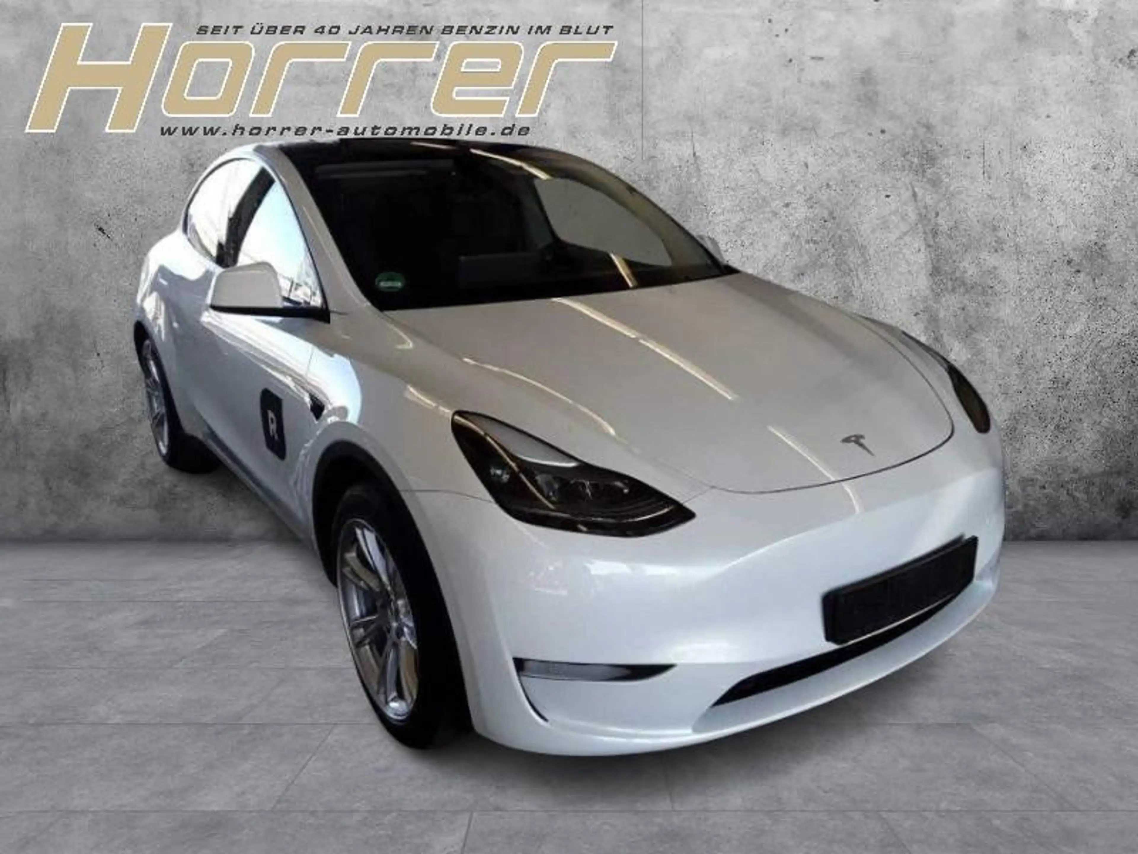 Tesla Model Y LongMax Range Dual AWD A.Pilot