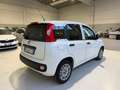 Fiat Panda Van Weiß - thumbnail 5