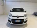 Fiat Panda Van Weiß - thumbnail 8