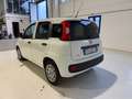 Fiat Panda Van Weiß - thumbnail 3