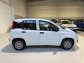 Fiat Panda Van Weiß - thumbnail 6