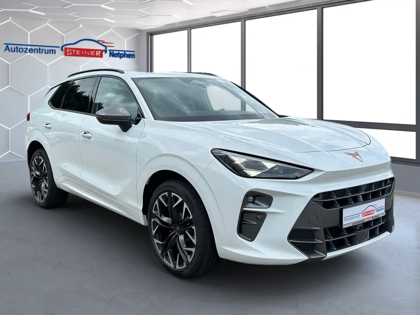 CUPRA Terramar 4x4 VZ DSG NAVI MATRIX-LED Pano 30% Klima Navi Weiß - 2
