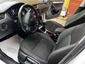 Skoda Octavia Wagon 1.4 tsi g-tec Executive 110cv Bianco - thumbnail 7