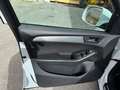 Audi Q5 Q5 V6 tdi Advanced quattro 250cv s-tronic Bianco - thumbnail 9