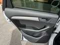 Audi Q5 Q5 V6 tdi Advanced quattro 250cv s-tronic Bianco - thumbnail 11